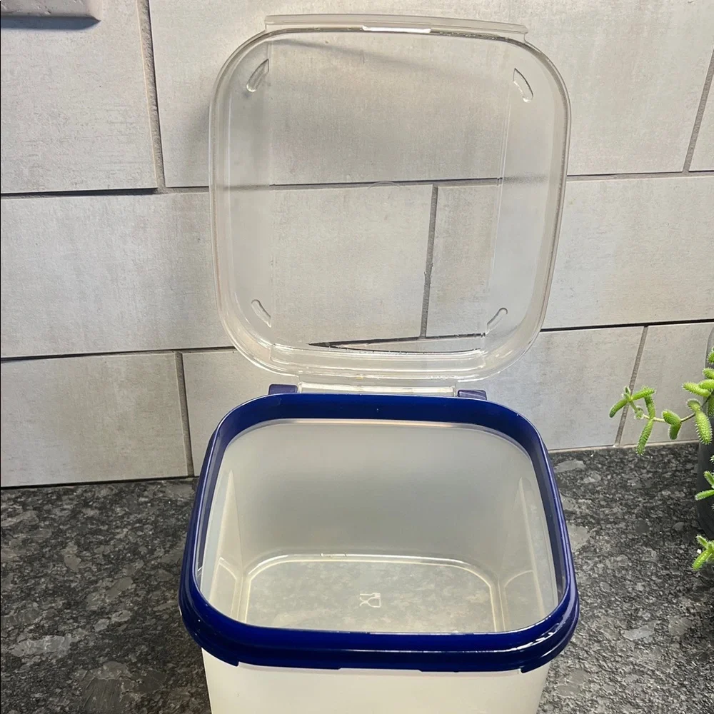 Vintage Tupperware with flip lid. Clear and Blue Storage Container. 11 cups